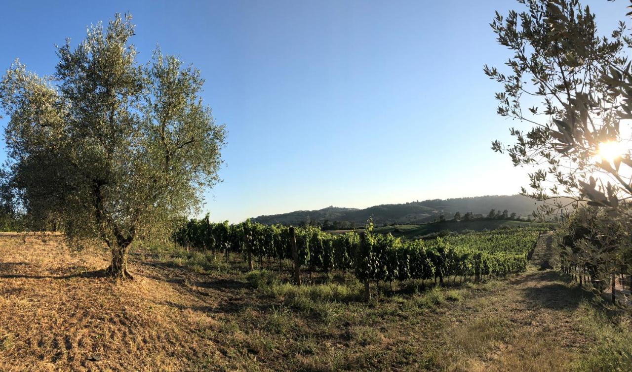 Agriturismo Poggio Del Drago Montemerano Exterior photo