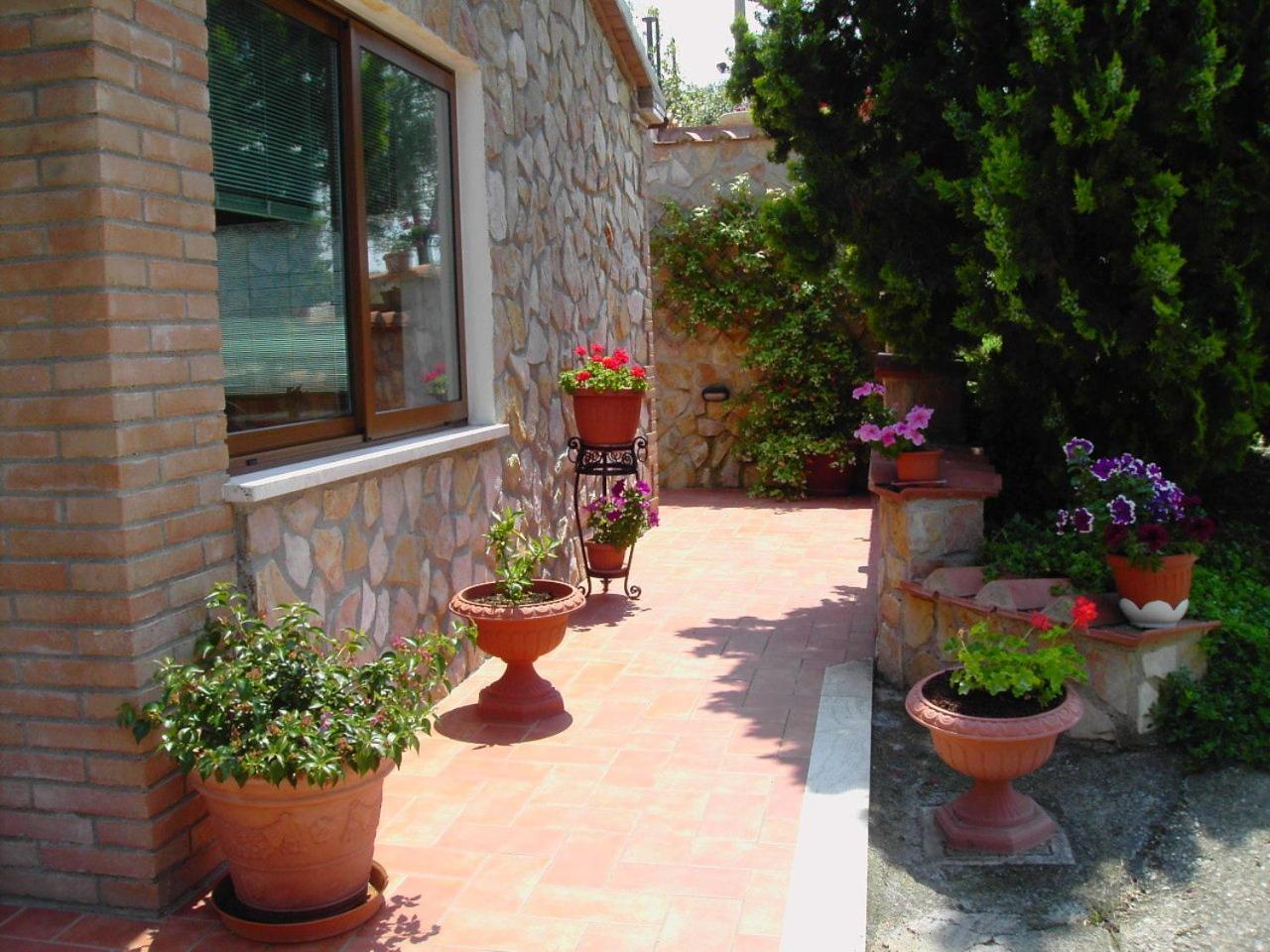 Agriturismo Poggio Del Drago Montemerano Exterior photo