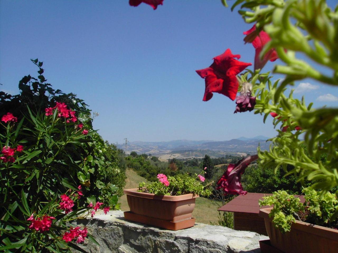 Agriturismo Poggio Del Drago Montemerano Exterior photo