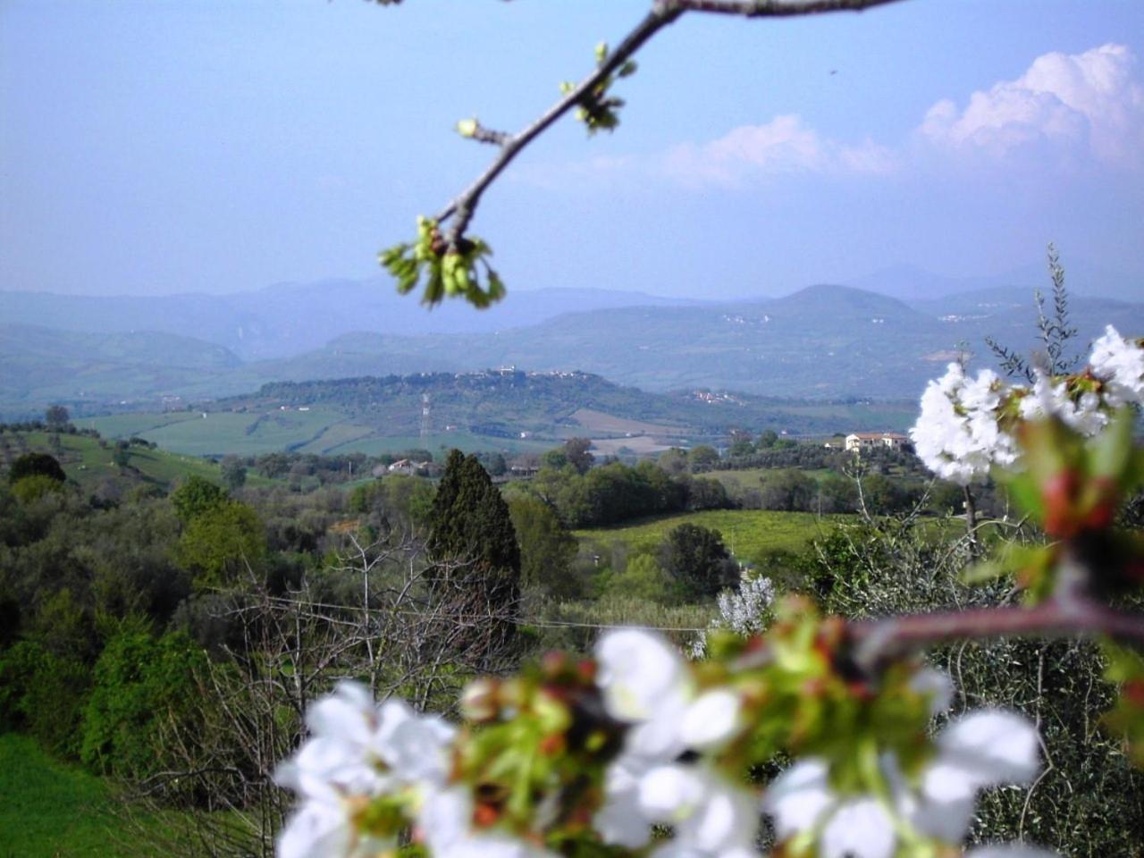 Agriturismo Poggio Del Drago Montemerano Exterior photo