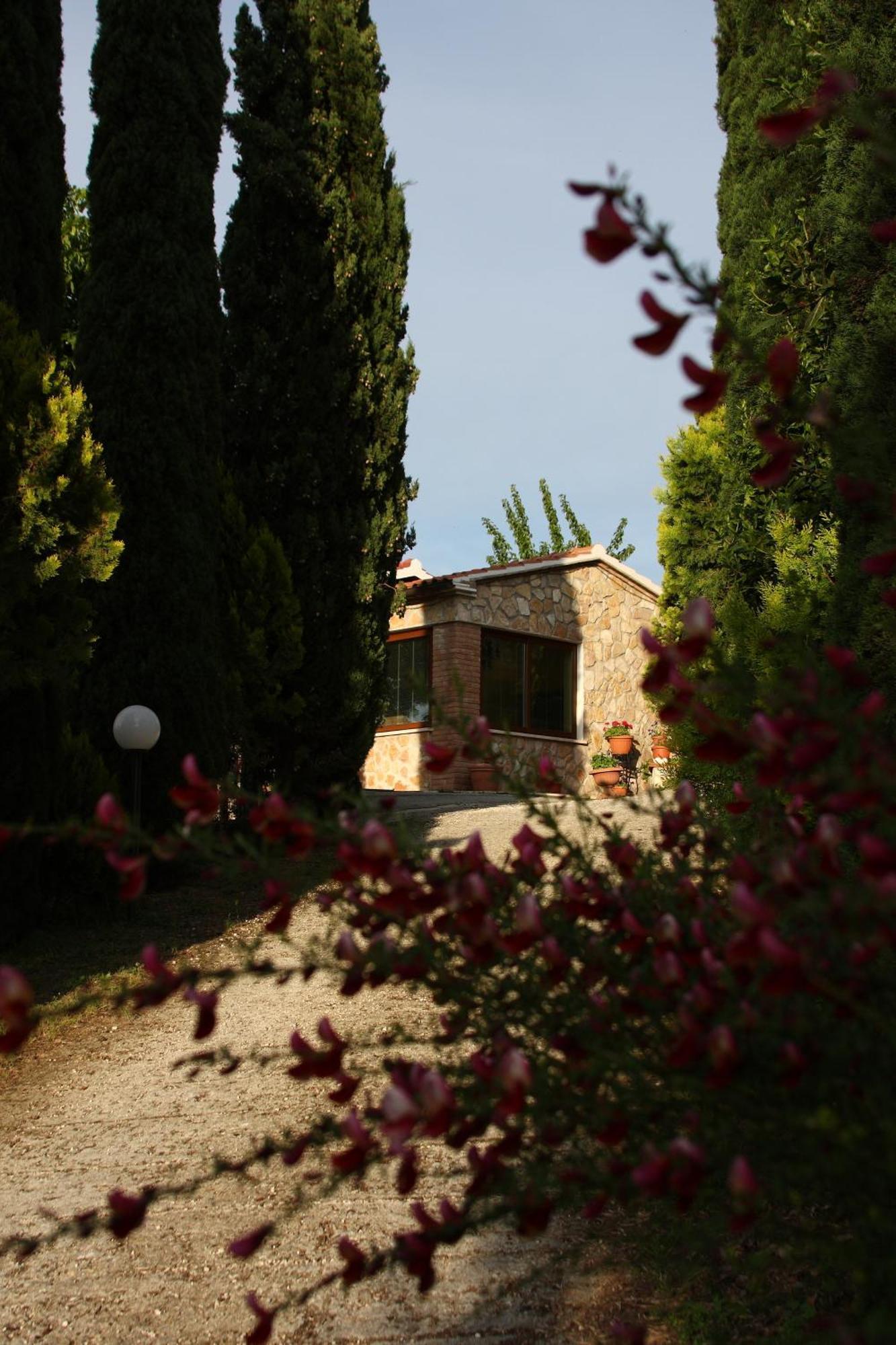 Agriturismo Poggio Del Drago Montemerano Exterior photo